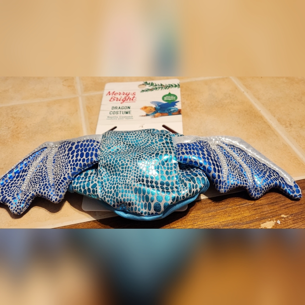 Bearded Ice Dragon Custume